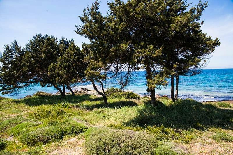 A House Between Ancient Olympia And The Ionian Sea Levendokhórion Exterior foto